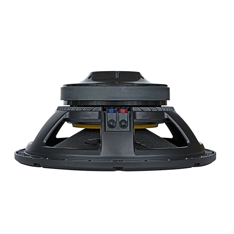 JPA1501 15 "Powerful Speaker