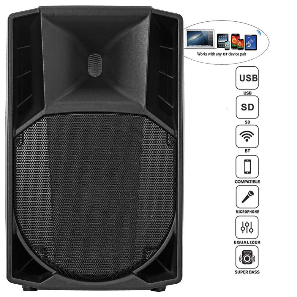 professional speaker
