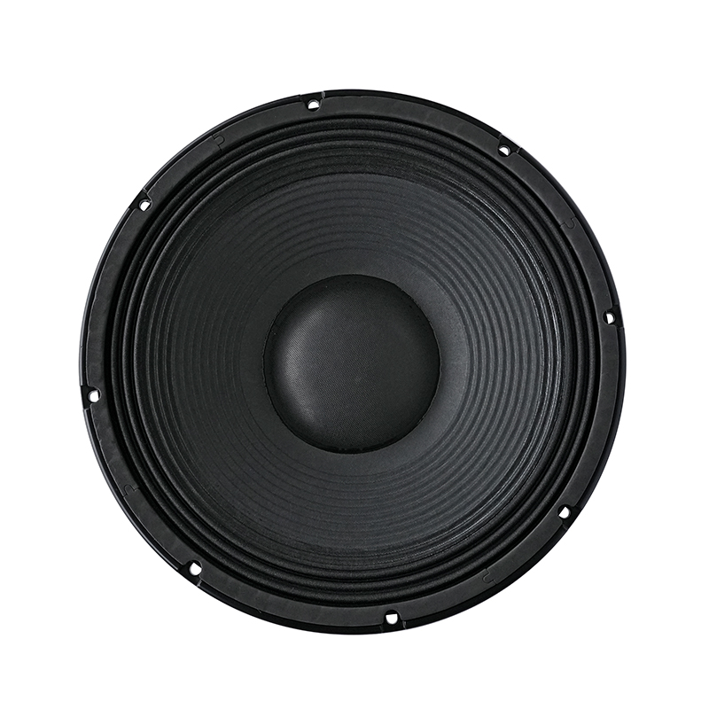 JPA1501 15 "Powerful Speaker