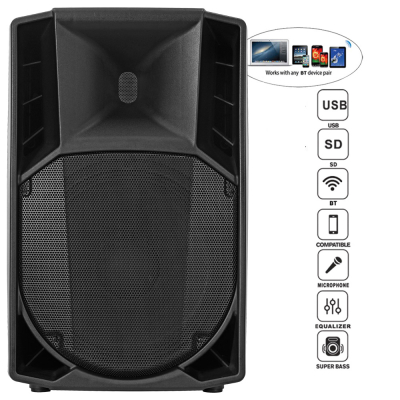 professional speaker