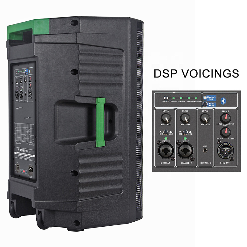 Altavoz amplificado versátil de audio profesional G8815DSP